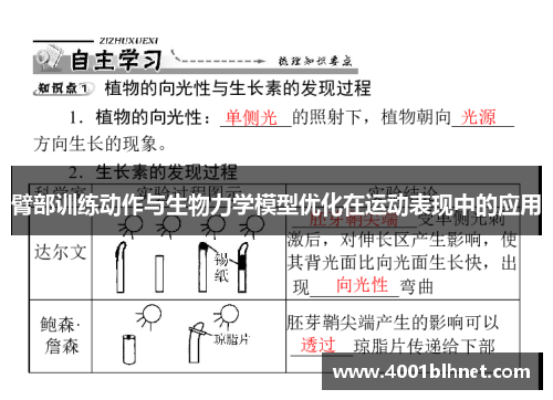 臂部训练动作与生物力学模型优化在运动表现中的应用