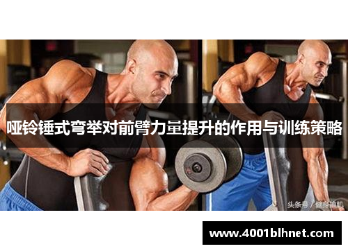 哑铃锤式弯举对前臂力量提升的作用与训练策略